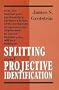 Splitting & Projective Identif