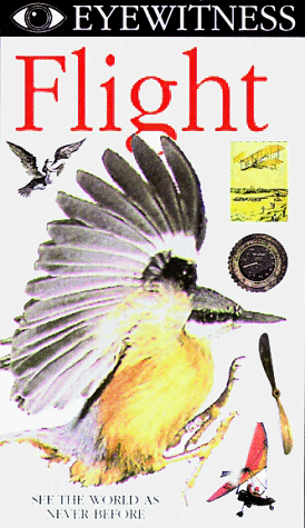 Eyewitness - Flight