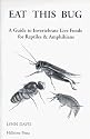 Eat This Bug: A Guide to Invertebrate Live Foods for Reptiles and Amphibians