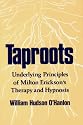Taproots: Underlying Principles of Milton Erickson's Therapy and Hypnosis (A Norton professional book)
