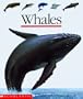 Whales (First Discovery Books)