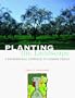 Planting the Landscape: A Professional Approach to Garden Design
