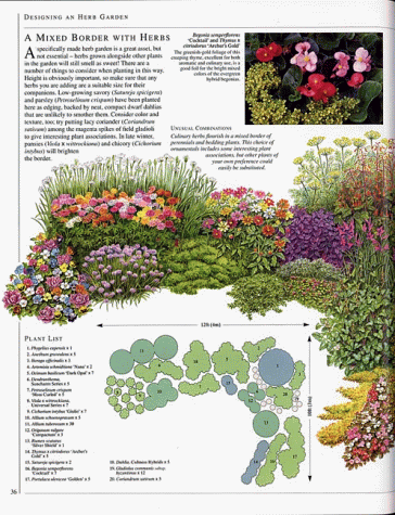 Encyclopedia of Herbs and Their Uses: The Definitive Reference Work for Every Herb Enthusiast