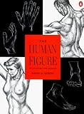 Human Figure an Anatomy for Artists