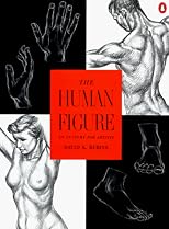Human Figure an Anatomy for Artists