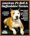 American Pit Bull and Staffordshire Terriers: Everything About Purchase, Care, Nutrition, Breeding, Behavior, and Training (A Complet)