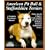 American Pit Bull and Staffordshire Terriers: Everything About Purchase, Care, Nutrition, Breeding, Behavior, and Training (A Complet)
