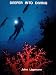 Deeper into Diving