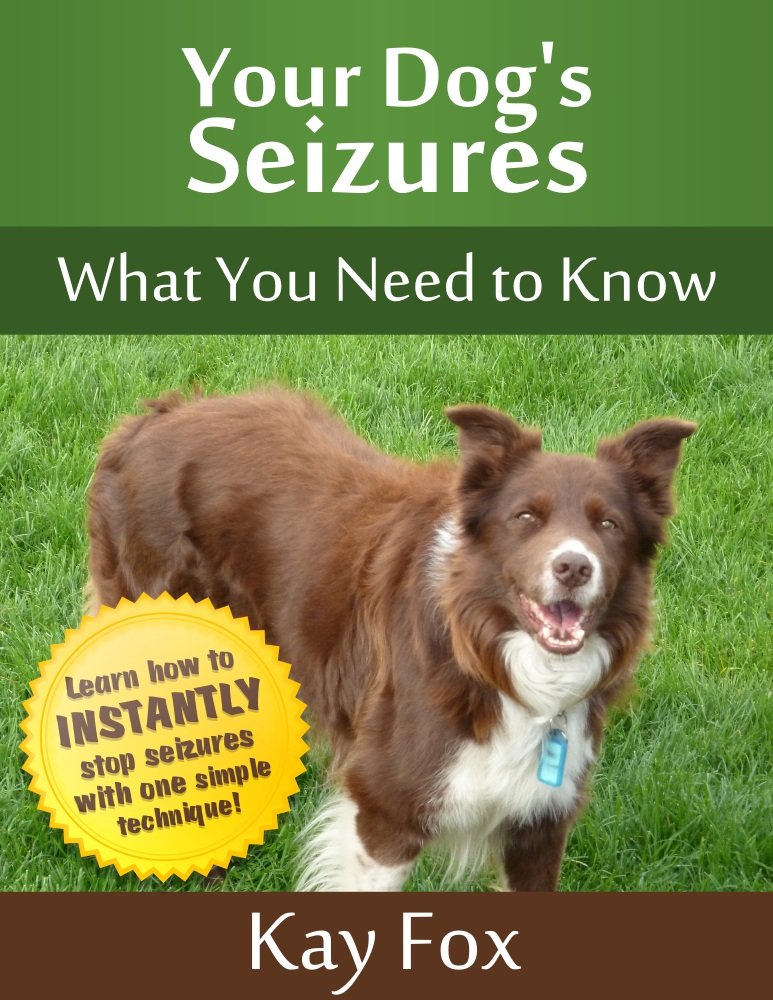 Your Dog's Seizures - What You Need to Know - Kindle edition by ... Your Dog's Seizures - What You Need to Know - Kindle edition by ...