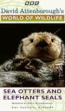 David Attenborough's World Of Wildlife 6 - Sea Otters And Elephant Seals