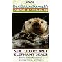 David Attenborough's World Of Wildlife 6 - Sea Otters And Elephant Seals