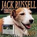 Jack Russell Terriers 2000 Calendar