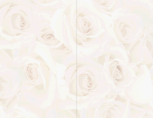 Masterpiece Blush Roses 2-up Invitation - 25 Sheets & 50 Invitations