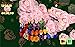 Roseistry