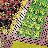 Beetplatten 10-er Packung