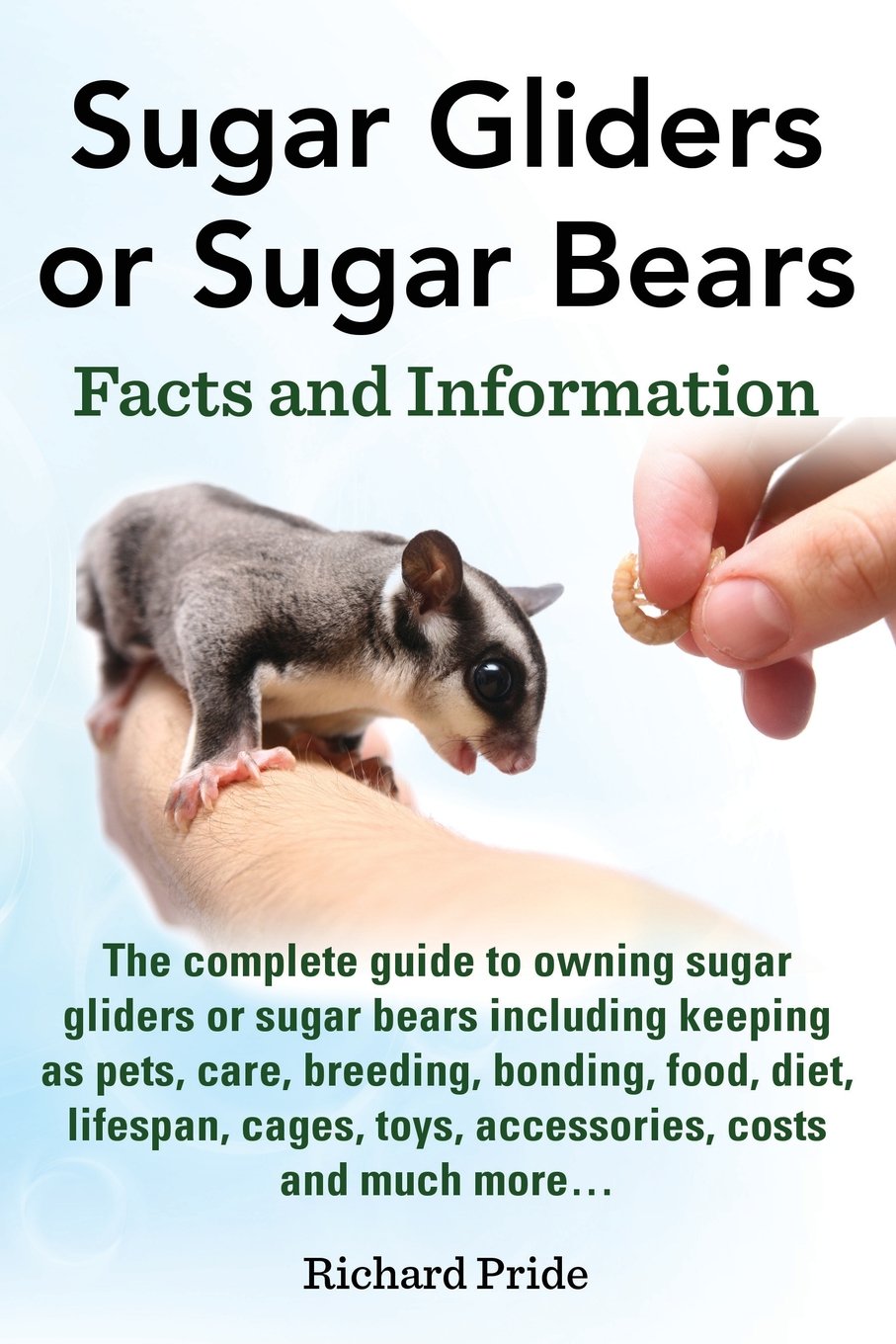 Caring For A Sugar Glider Caring For A Sugar Glider