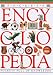 Book Encyclopedia (Pocket Guides)