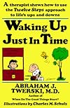 Waking up Just in Time: A Therapist  Shows  How to use the Twelve Steps Approach to Life's Ups and Downs