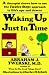 Books : Waking up Just in Time: A Therapist  Shows  How to use the Twelve Steps Approach to Life's Ups and Downs