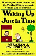 Waking up Just in Time: A Therapist  Shows  How to use the Twelve Steps Approach to Life's Ups and Downs