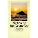 Nietzsche f�r Gestre�te (insel taschenbuch)