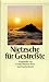 Produkt-Bild: Nietzsche f&uuml;r Gestre&szlig;te (insel taschenbuch)