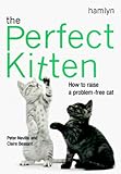 The Perfect Kitten