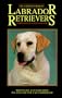Dr Ackermans Labrador Retrievr (BB Dog)