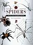Identifying Spiders: The New Compact Study Guide and Identifier (Identifying Guide Series)