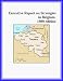 Executive Report on Strategies in Belgium,1999 edition (Strategic Planning Series)