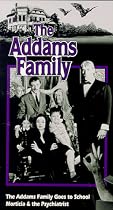 Addams Family, Vol. 1 [VHS]