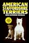 American Staffordshire Terrier (KW Dog)