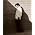 Thumbnail image of K. D. Lang