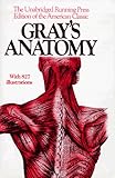 Gray's Anatomy