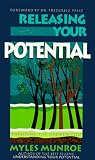 Releasing Your Potential: Exposing the Hidden You (Finding Your Future Series)