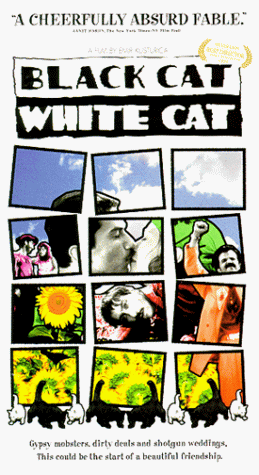 Black Cat White Cat Black Cat White Cat