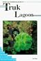 Diving and Snorkeling Guide to Truk Lagoon (Lonely Planet Diving and Snorkeling Guides)