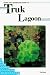 Book Diving and Snorkeling Guide to Truk Lagoon (Lonely Planet Diving & Snorkeling Guides)