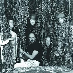 Image of Jethro Tull