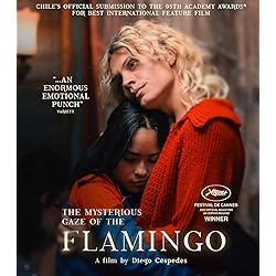 The Mysterious Gaze Of The Flamingo [Blu-ray]