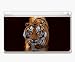 bengal15  - Animal Kingdom Bengal Tiger Decorative Protector Skin Decal