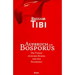 Aufbruch am Bosporus. Die T�rkei zwischen Europa und dem Islamismus