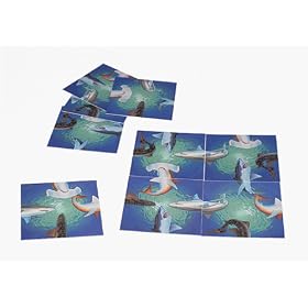 Scramble Squares: Sharks by B.Dazzle