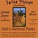 Utah's National Parks