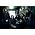 Vignette de Shadows Fall