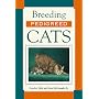 Breeding Pedigreed Cats