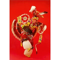 The Modern Fancy Dancer (Native American Dance Series)