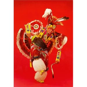 The Modern Fancy Dancer (Native American Dance Series) by Scott C. Evans, Rex J. Reddick, Josh Gray, and Ed Wells