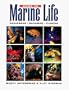 Guide to Marine Life: Caribbean-Bahamas-Florida