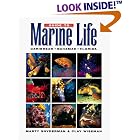 Guide to Marine Life: Caribbean-Bahamas-Florida by Marty Snyderman